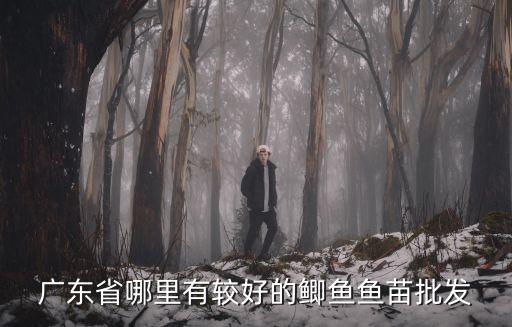廣州市魚苗批發，廣東省哪里有較好的鯽魚魚苗批發
