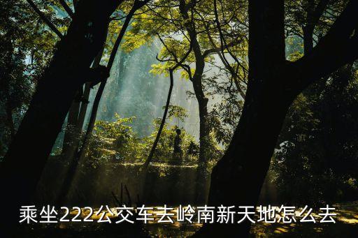 廣州嶺南新天地怎么去，乘坐222公交車去嶺南新天地怎么去