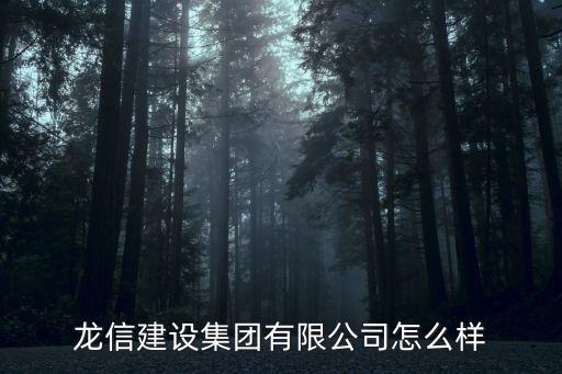 龍信建設(shè)集團(tuán)有限公司怎么樣