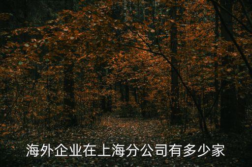 海外企業(yè)在上海分公司有多少家