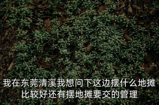 東莞清溪鎮夜市擺攤，我想去擺攤有人在東莞清溪擺攤嗎有經念可以說下嗎