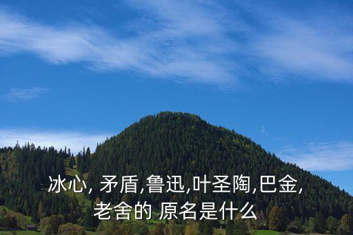 矛盾原名,茅盾原名沈德鴻的簡介