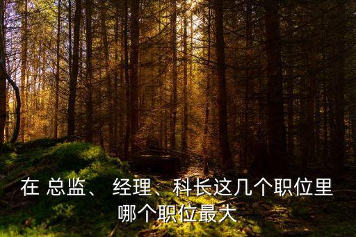 總監(jiān)和經(jīng)理哪個大,當經(jīng)理需要什么能力