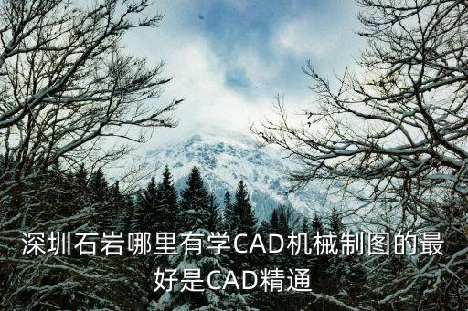 深圳石巖哪里有學CAD機械制圖的最好是CAD精通