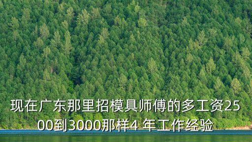 廣州模具主管最新招聘，現(xiàn)在廣東那里招模具師傅的多工資2500到3000那樣4 年工作經(jīng)驗