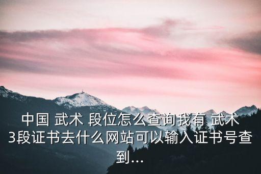 中國武術(shù)段位制