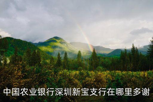 深圳農業銀行新生支行，中國農業銀行深圳新寶支行在哪里多謝