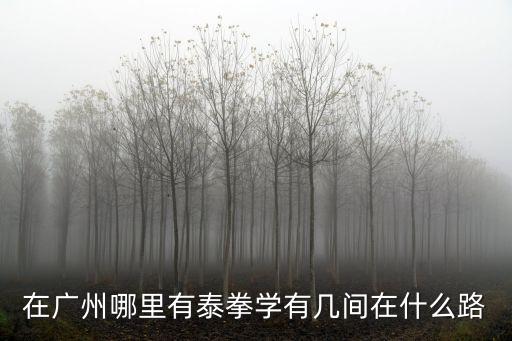 廣州金甲泰拳館，在廣州哪里有泰拳學有幾間在什么路