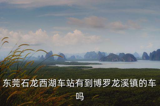 東莞有到博羅龍溪的車嗎，東莞總站到惠州博羅龍溪坐什么車