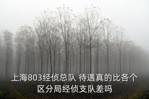 上海803經偵總隊 待遇真的比各個區分局經偵支隊差嗎