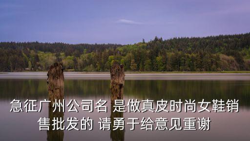 急征廣州公司名 是做真皮時尚女鞋銷售批發的 請勇于給意見重謝