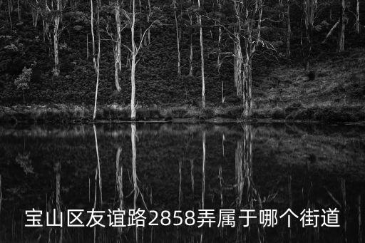 上海市友誼路2858弄，想知道 上海市 大葉公路友誼路 在哪 從南橋大潤發或者南橋車站坐