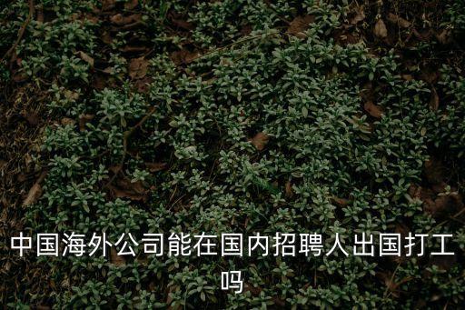 中國海外公司能在國內招聘人出國打工嗎