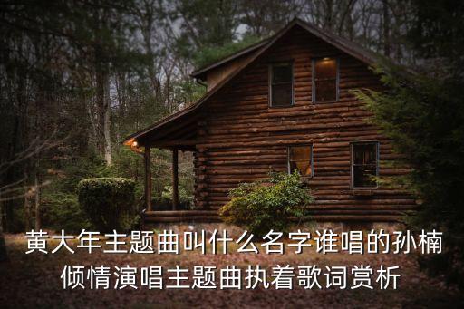 電視劇黃大年,黃大年電視劇你喜歡誰?蘇錚飾演的女演員?