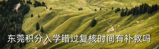 東莞的積分入學報名復核如何提，東莞積分入學錯過復核時間有補救嗎