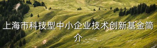 上海市科技型中小企業技術創新基金簡介