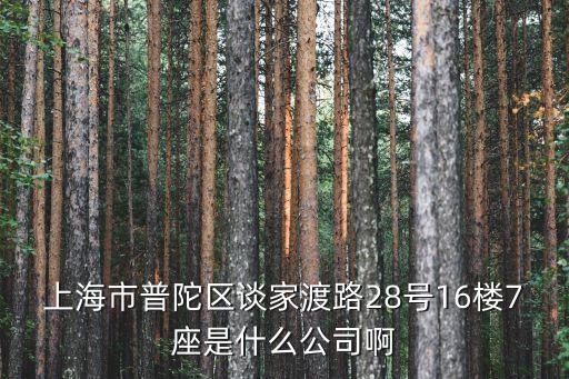 上海市普陀區(qū)談家渡路28號(hào)16樓7座是什么公司啊