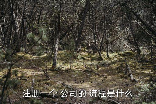注冊一個 公司的 流程是什么