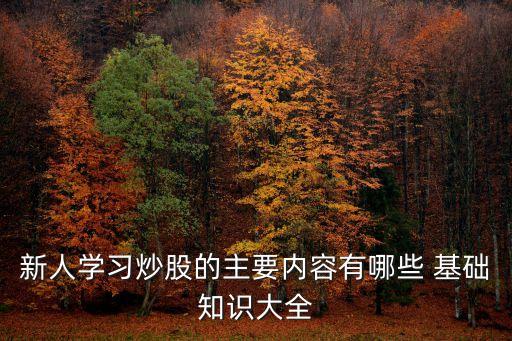 證券基礎(chǔ)