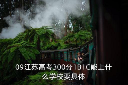 09江蘇高考300分1B1C能上什么學校要具體