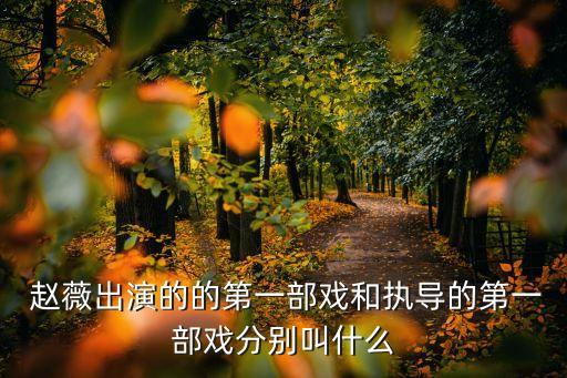 趙薇電影,趙薇和陳坤合作過哪些電影?