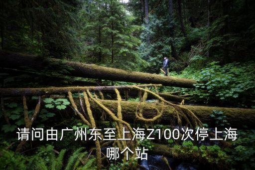 請(qǐng)問由廣州東至上海Z100次停上海哪個(gè)站