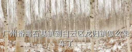 廣州番禺石基鎮(zhèn)到白云區(qū)龍歸鎮(zhèn)怎么坐車了