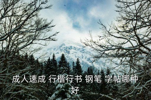 成人速成 行楷行書 鋼筆 字帖哪種好
