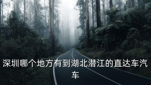 深圳哪個地方有到湖北潛江的直達車汽車