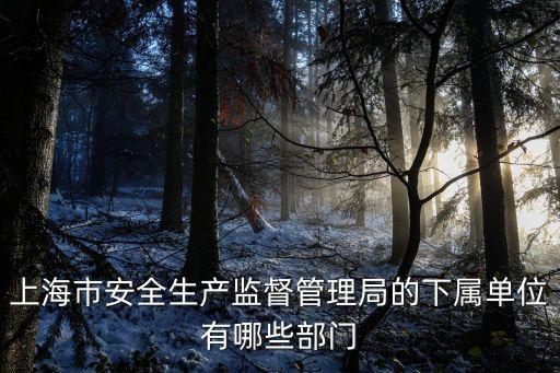 上海市安全生產監督管理局的下屬單位有哪些部門