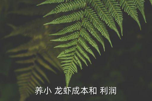 龍蝦養(yǎng)殖利潤,怎么放-養(yǎng)殖小龍蝦一畝一年利潤5000元