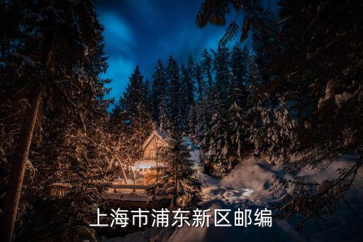 上海市浦東臨沂六村 郵編是多少，浦東新區(qū)上南六村的郵編是多少