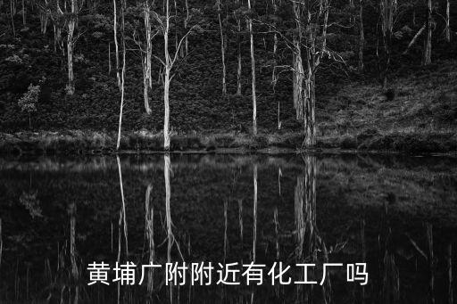 黃埔廣附附近有化工廠嗎