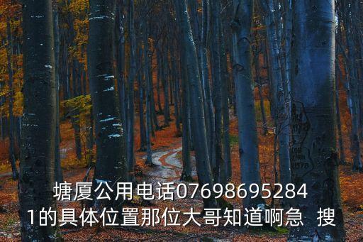 塘廈公用電話076986952841的具體位置那位大哥知道啊急  搜