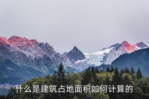 什么是建筑占地面積如何計(jì)算的