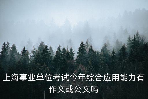 上海事業單位考試今年綜合應用能力有作文或公文嗎