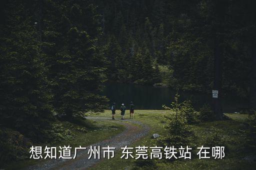 想知道廣州市 東莞高鐵站 在哪
