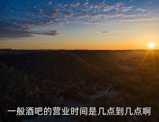 一般酒吧的營(yíng)業(yè)時(shí)間是幾點(diǎn)到幾點(diǎn)啊