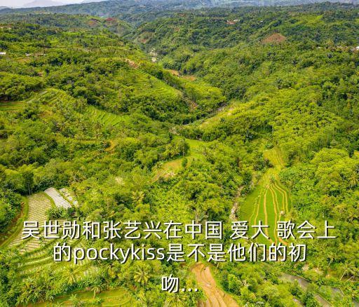 中國愛大歌會