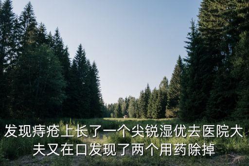 發現痔瘡上長了一個尖銳濕優去醫院大夫又在口發現了兩個用藥除掉