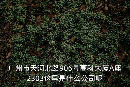 廣州市天河北路906號高科大廈A座2303這里是什么公司呢
