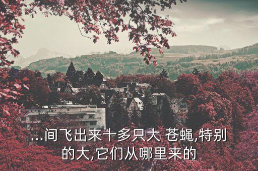 ...間飛出來十多只大 蒼蠅,特別的大,它們從哪里來的