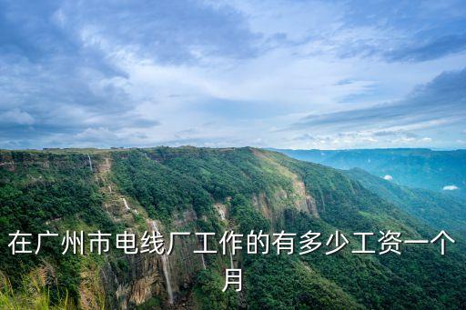 在廣州市電線廠工作的有多少工資一個月