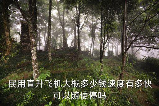  民用直升飛機(jī)大概多少錢速度有多快可以隨便停嗎