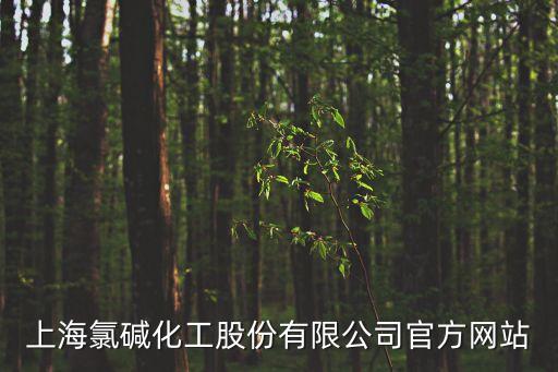 上海市氯堿化工有限公司，上海氯堿化工股份有限公司怎么樣