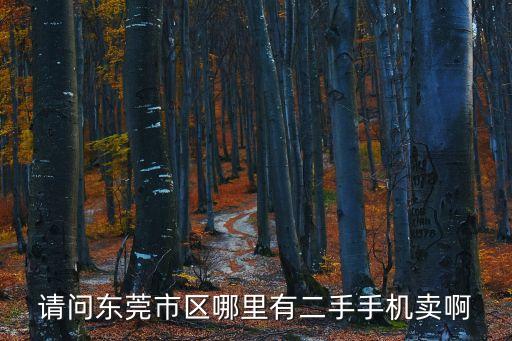 東莞哪里可以找到二手手機，東莞二手手機市場在哪