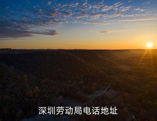 深圳市益田區(qū)勞動局，深圳勞動局電話是多少
