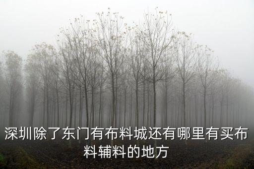深圳除了東門有布料城還有哪里有買布料輔料的地方