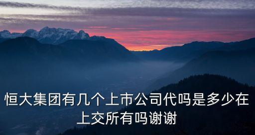 深圳新天地上市公司，深圳有多少家上市公司