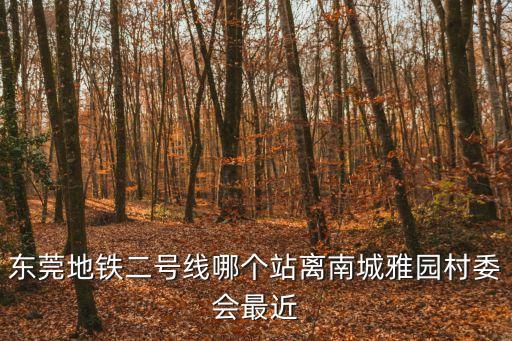 東莞地鐵二號線哪個(gè)站離南城雅園村委會最近